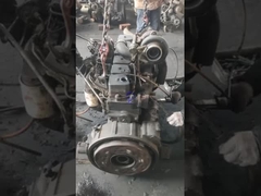 El equipo de la empresa es el siguiente: