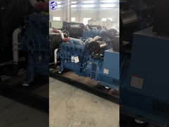 Conjunto de generadores Yuchai (1)